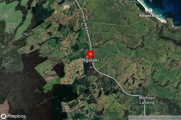 Ngataki,Northland Satellite Map