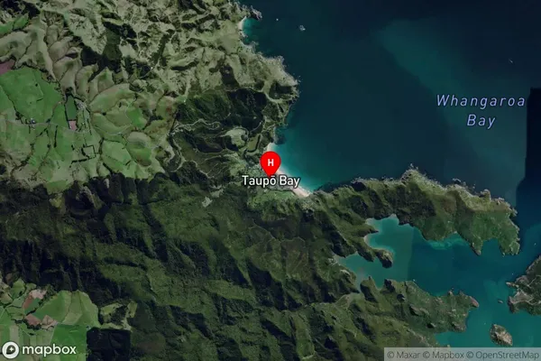 Taupo Bay,Northland Satellite Map