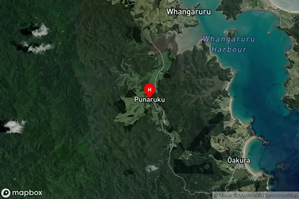 Punaruku,Northland Satellite Map