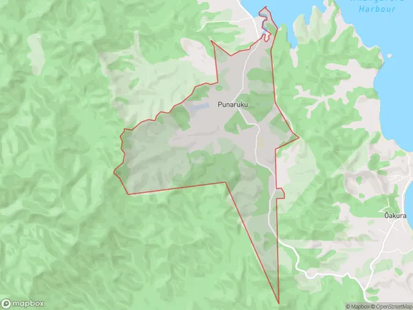 Punaruku, Northland Polygon Area Map