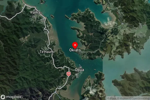 Okiato,Northland Satellite Map