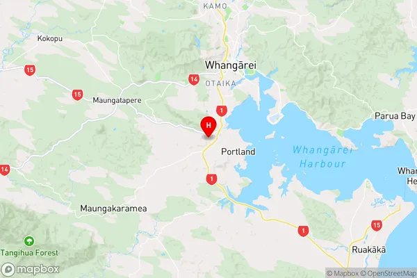 Otaika,Northland Region Map