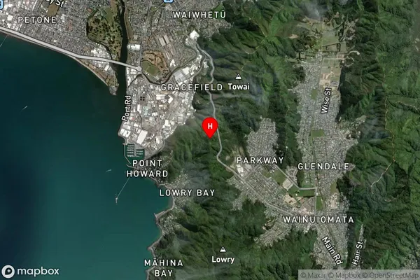 Wainui,Wellington Satellite Map