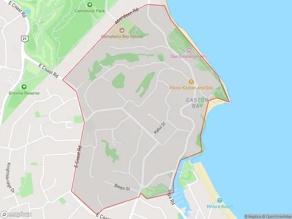 Castor Bay, Auckland Polygon Area Map