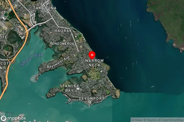 Narrow Neck,Auckland Satellite Map