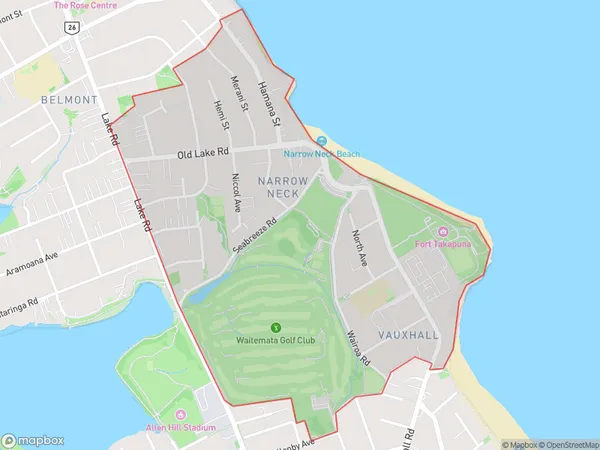 Narrow Neck, Auckland Polygon Area Map