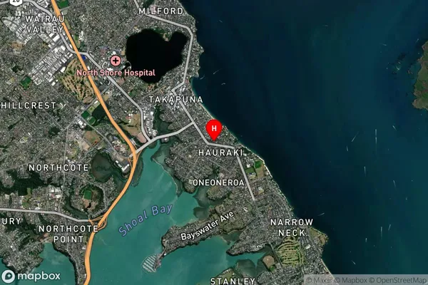 Hauraki,Auckland Satellite Map