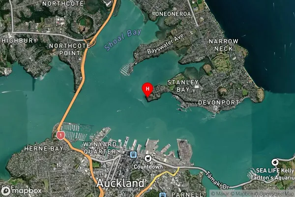 Stanley Point,Auckland Satellite Map