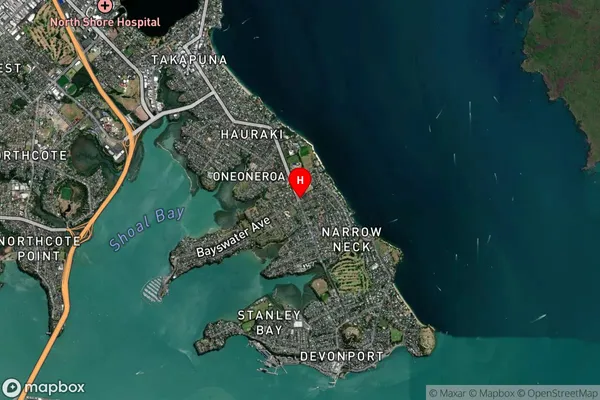 Belmont,Auckland Satellite Map