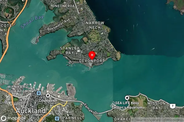 Devonport,Auckland Satellite Map