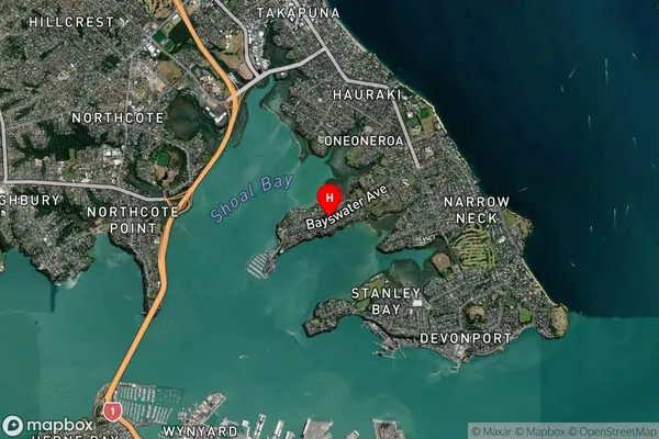 Bayswater,Auckland Satellite Map