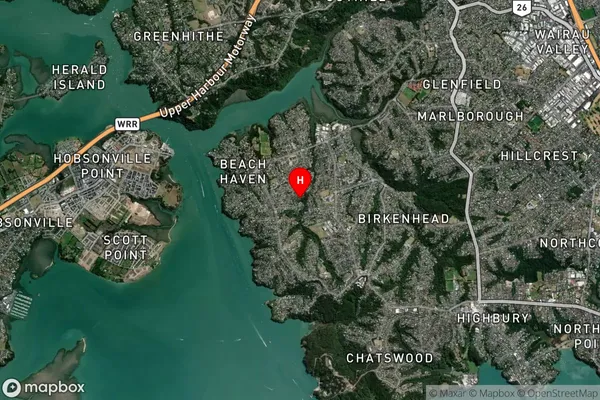 Birkdale,Auckland Satellite Map