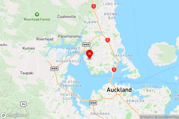 Birkdale,Auckland Region Map