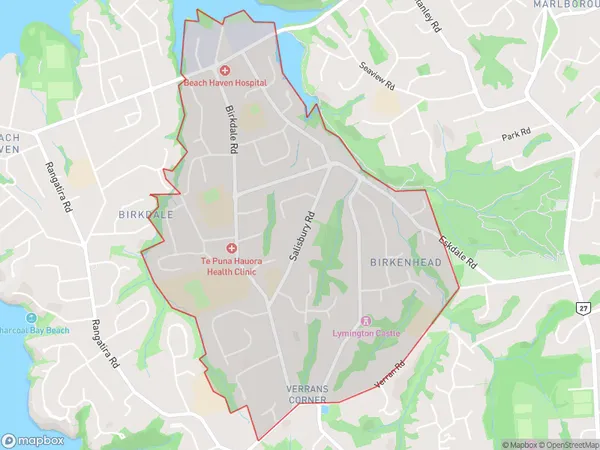 Birkdale, Auckland Polygon Area Map