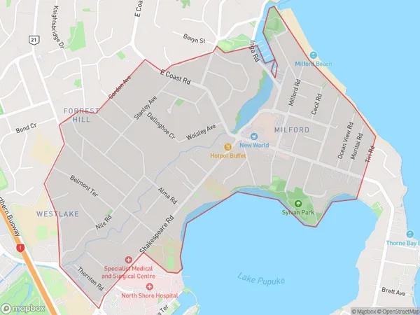 Milford, Auckland Polygon Area Map