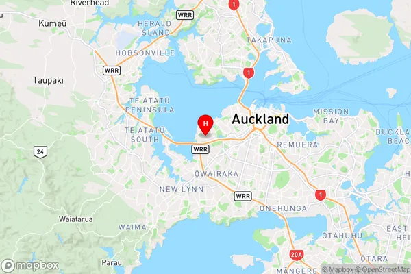 Point Chevalier,Auckland Region Map