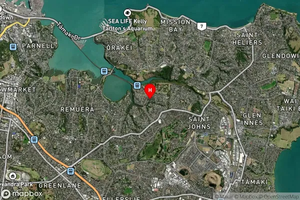 Meadowbank,Auckland Satellite Map