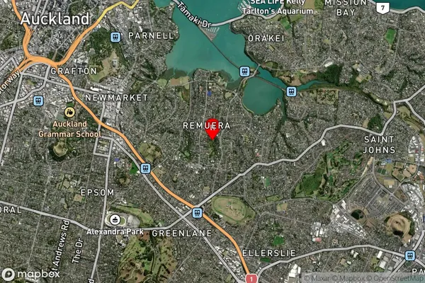 Remuera,Auckland Satellite Map