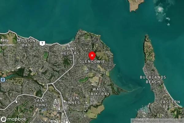 Glendowie,Auckland Satellite Map