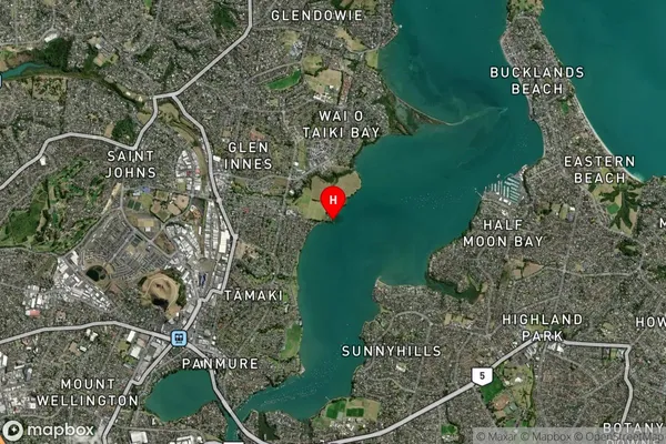 Point England,Auckland Satellite Map