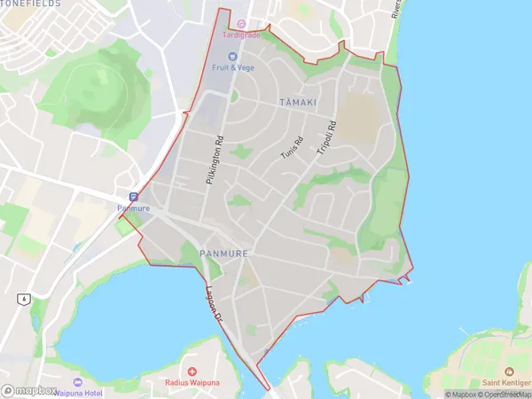 Panmure, Auckland Polygon Area Map