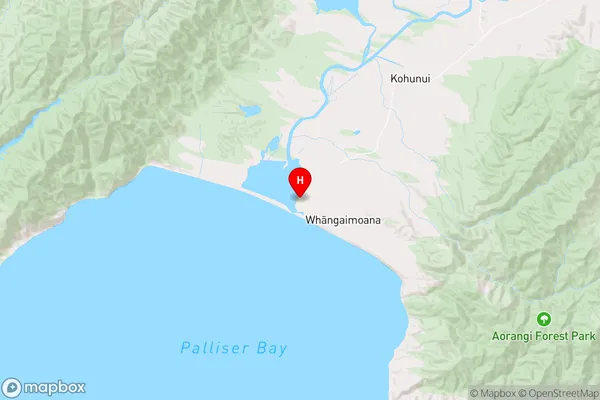 Lake Ferry,Wellington Region Map