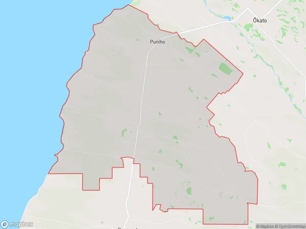 Warea, Taranaki Polygon Area Map