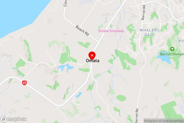 Omata,Taranaki Area Map