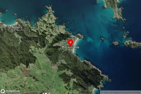 Matauri Bay,Northland Satellite Map