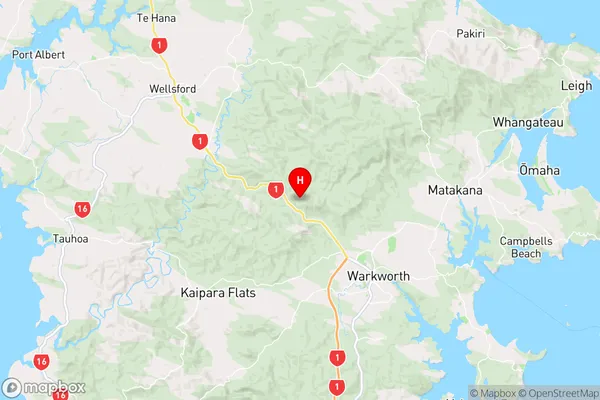 Dome Forest,Auckland Region Map