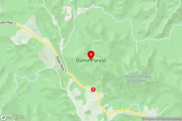 Dome Forest,Auckland Area Map