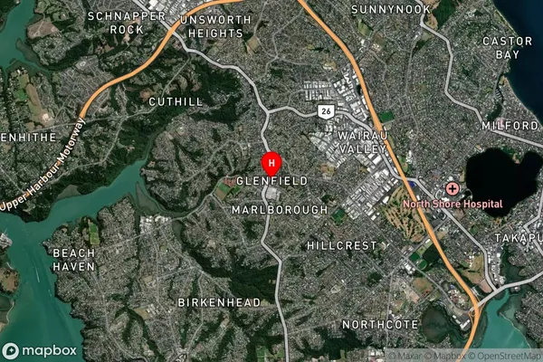 Glenfield,Auckland Satellite Map