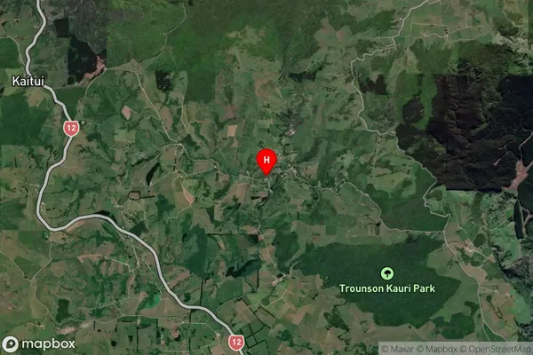 Donnellys Crossing,Northland Satellite Map