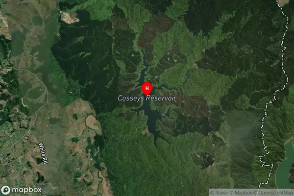 Cosseys Reservoir,Auckland Satellite Map