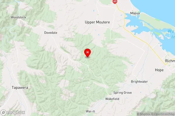 Dovedale,Tasman Region Map