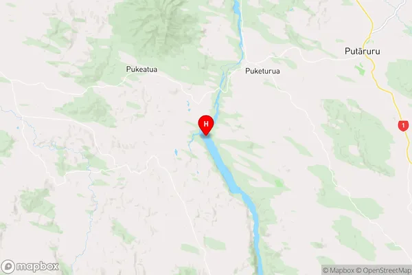 Lake Arapuni,Waikato Region Map