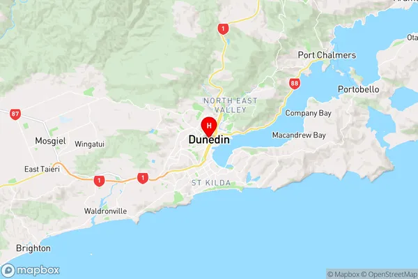 Dunedin Central,Otago Region Map