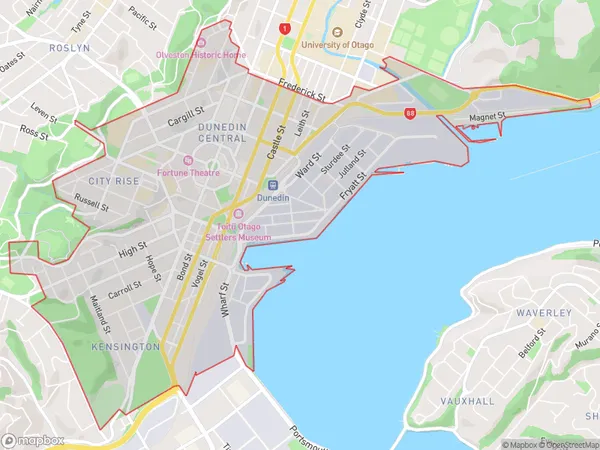 Dunedin Central, Otago Polygon Area Map