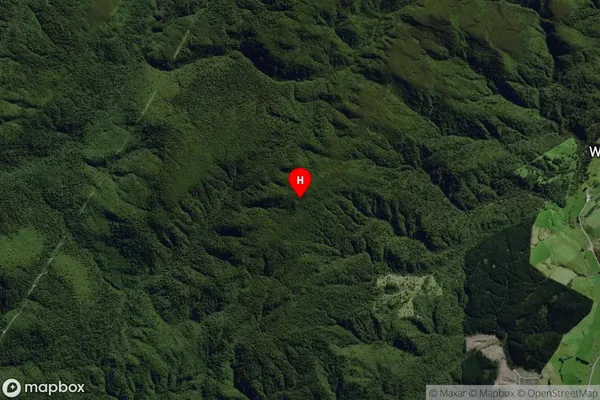 Dunsdale,Southland Satellite Map