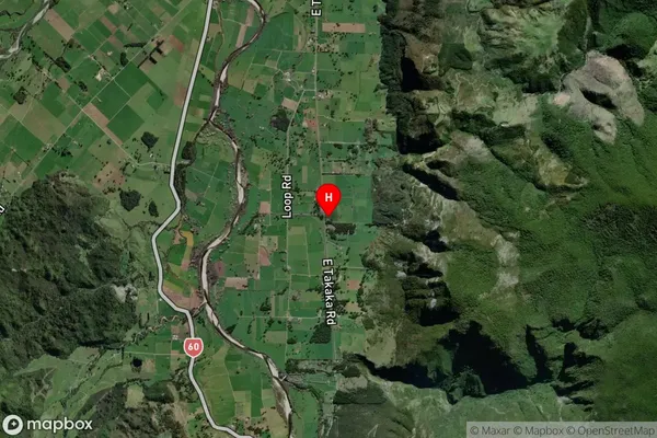 East Takaka,Tasman Satellite Map