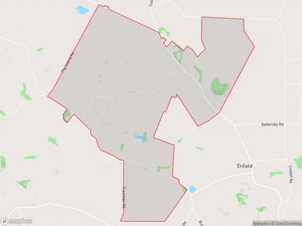 Elderslie, Otago Polygon Area Map