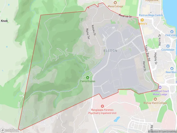 Elsdon, Wellington Polygon Area Map