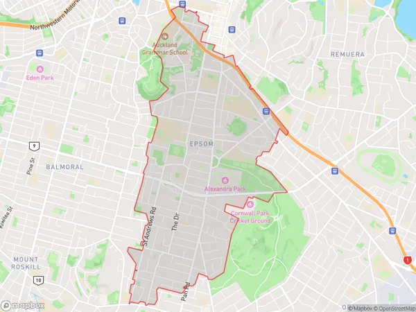 Epsom, Auckland Polygon Area Map