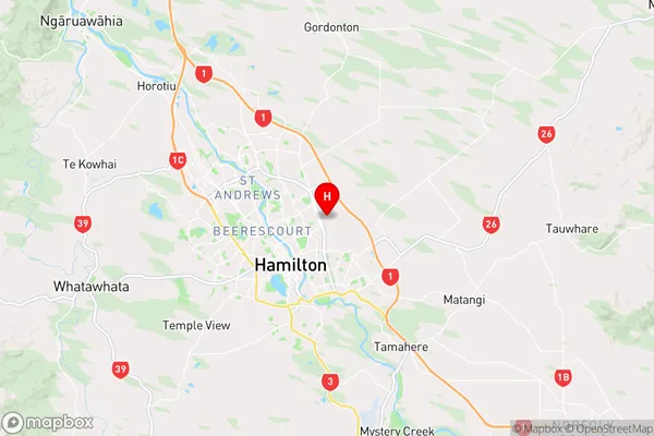 Fairview Downs,Waikato Region Map