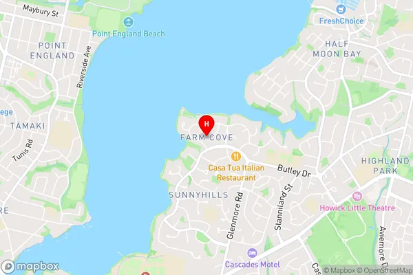 Farm Cove,Auckland Area Map