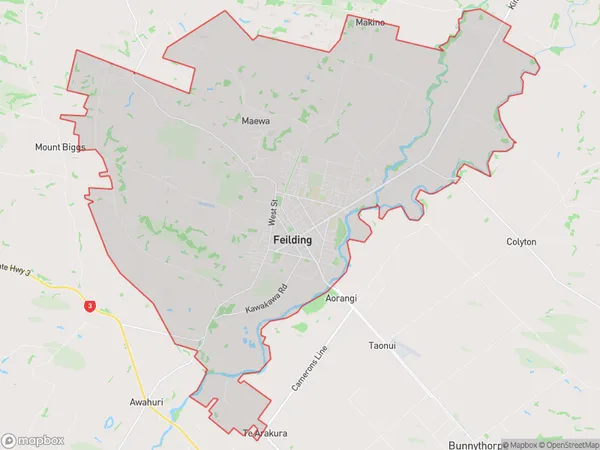 Feilding, Manawatu-Wanganui Polygon Area Map