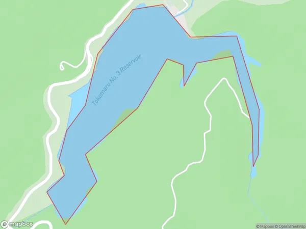 Tokomaru No. 3 Reservoir, Manawatu-Wanganui Polygon Area Map