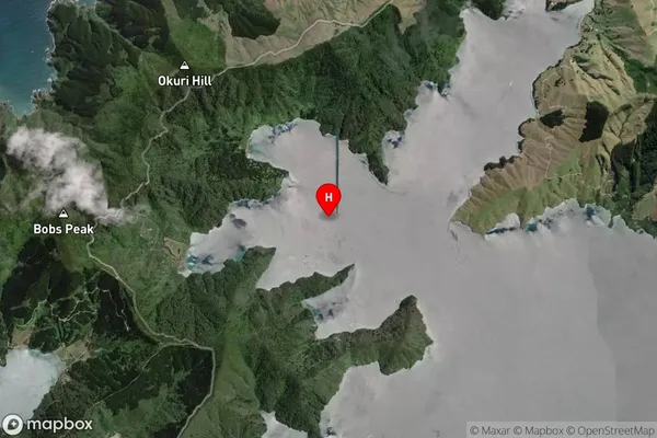 Fitzroy Bay,Marlborough Satellite Map