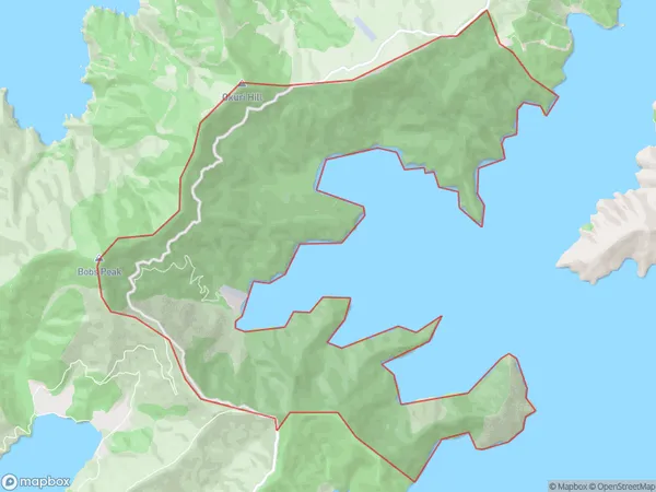 Fitzroy Bay, Marlborough Polygon Area Map