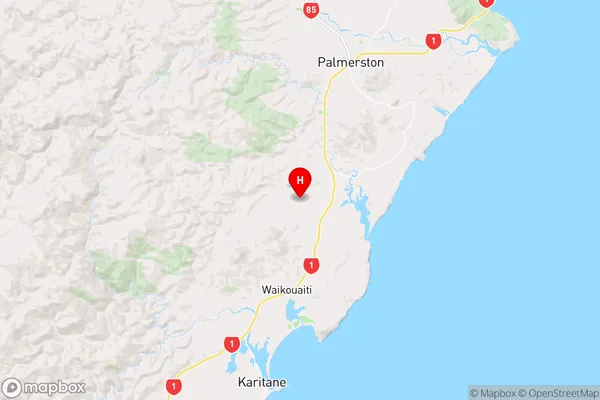 Flag Swamp,Otago Region Map